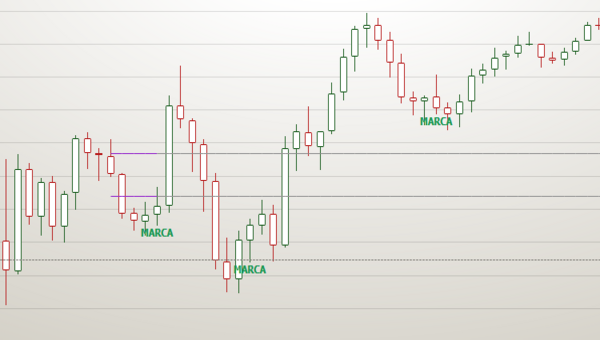 INSTITUCIONAL TRADE - Imagem 2